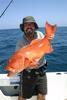 exmouth - Coral Trout